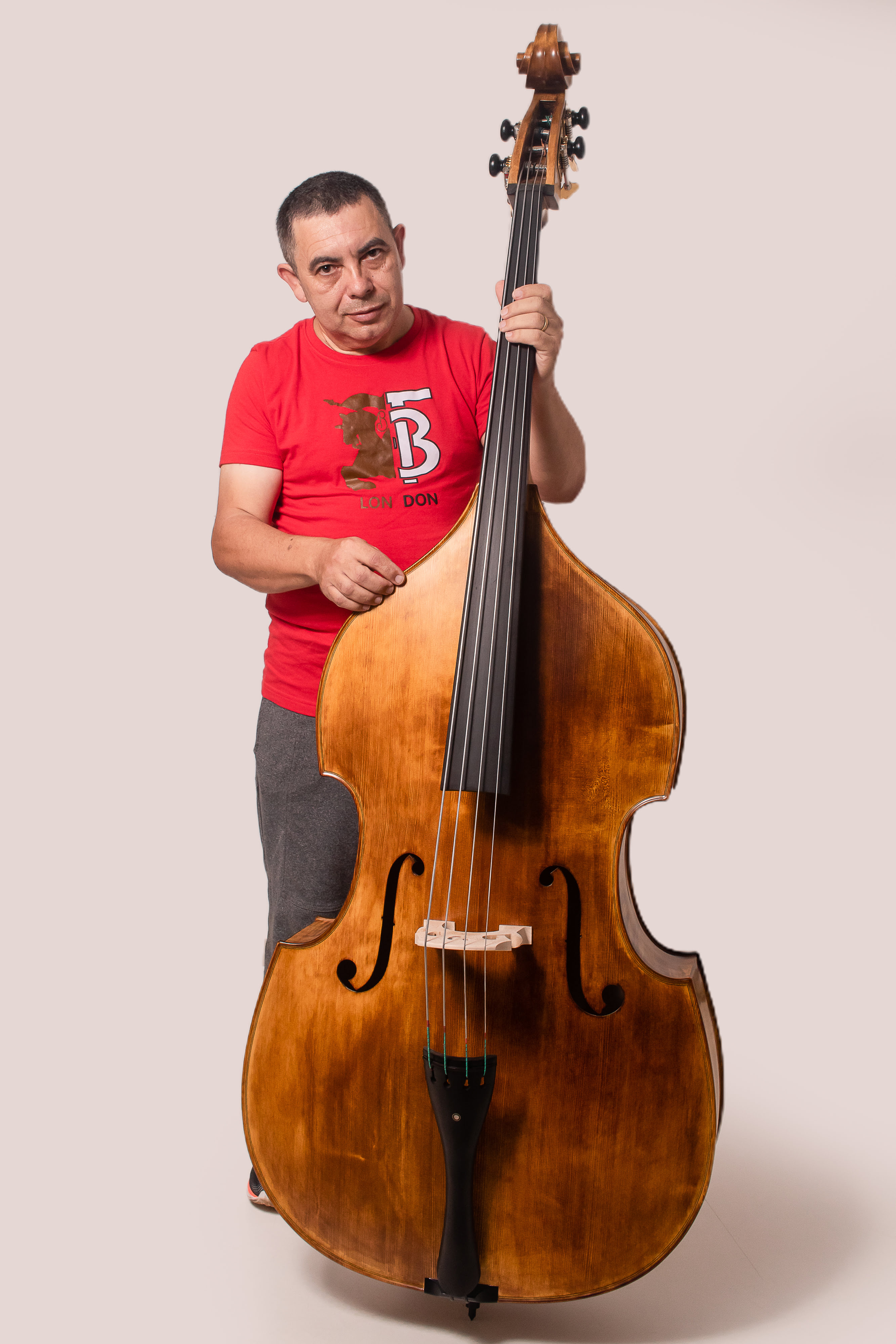 Viola modelo Guarneri - Frente